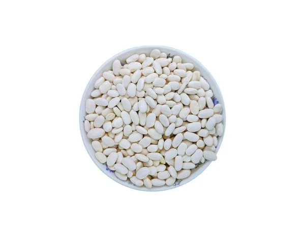 لویبا سفید